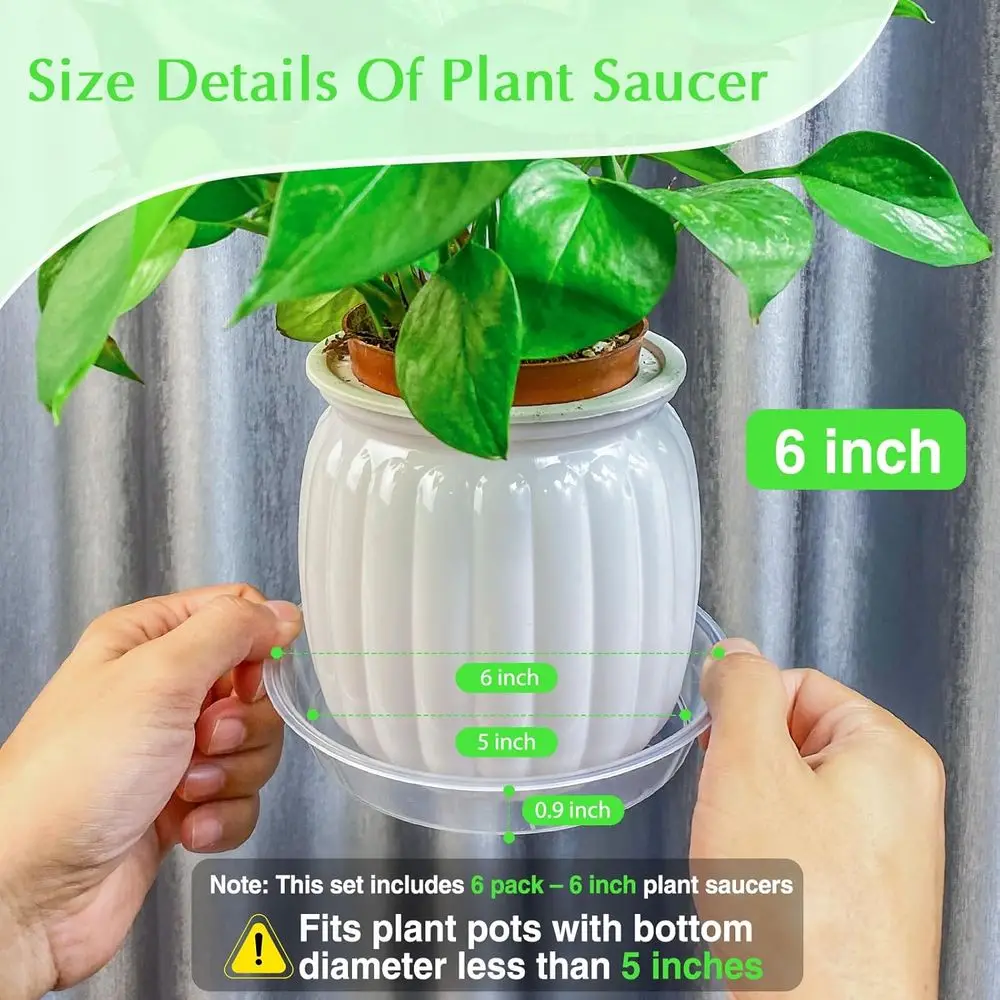 6-Pack Clear Plant Drip Trays, Durable No-Hole Water Catchers for Indoor/Outdoor Planters, Sturdy Base (6)