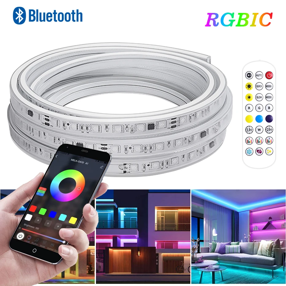 

10M 30M 50M Smart Bluetooth RGBIC LED Strip Light 110V 220V Dreamcolor Led Ribbon Tape Waterproof Outdoor Home Decoration