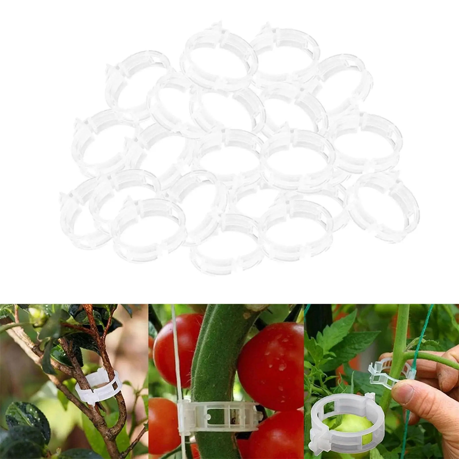 Clips de soporte para plantas, ganchos de hebilla fija para colgar plantas, uvas, tomate, vid, verduras, jaulas de tomate, tallo, 100 piezas