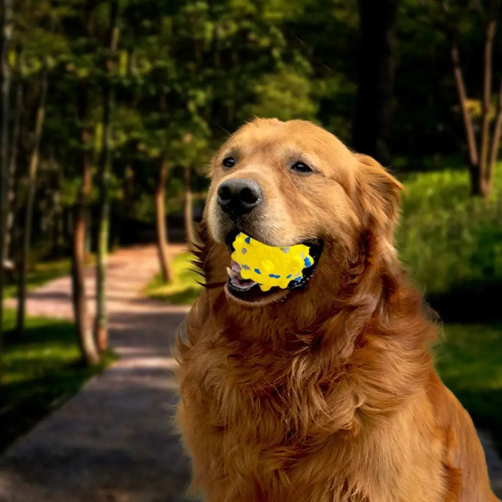 

Interactive Dog Toy Bite Resistant Pet Toy Ball Durable High Elasticity Dog Chew Toy Funny Creative Dogs Bouncing Ball Toy Gift