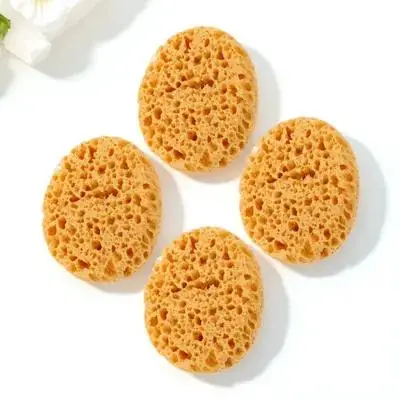 

4Pcs Texture Sponge Drywall Patch Wall Textured Sponge for Ceiling Texture Repair Painting Tool Drywall Repair