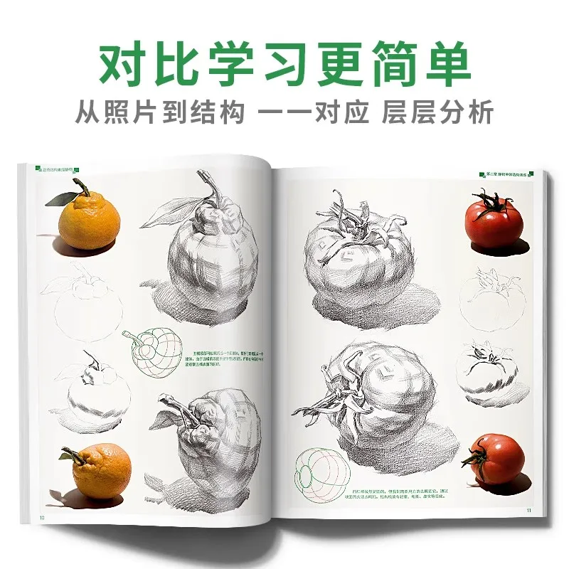 Orthodox Structural Sketch Still Life Book From Structure to Light and Shade Chinese Drawing Tutorial for Beginner & Art Student