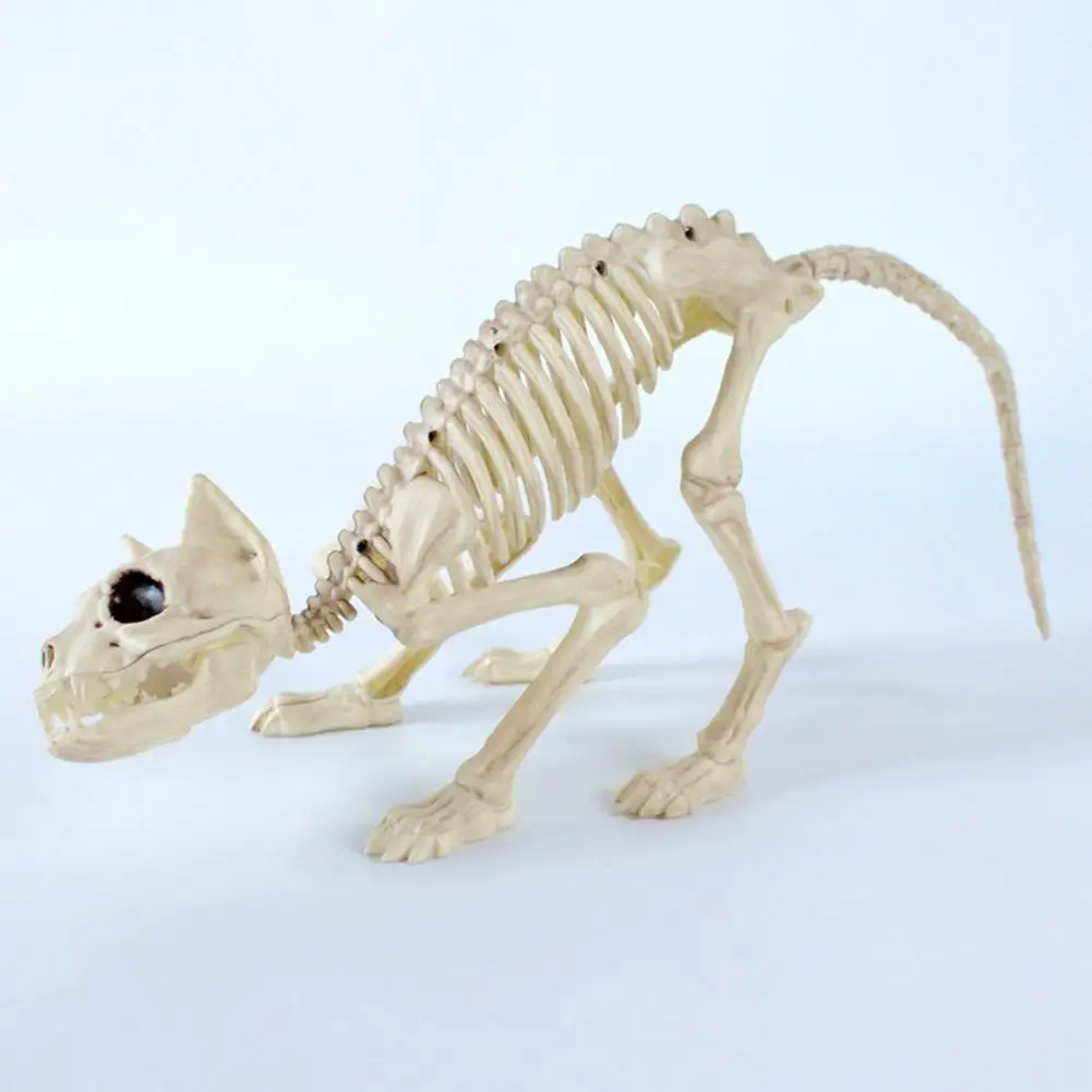 Halloween Cat Skeleton Decoration Spooky Halloween Skeleton Decor Set Mini Poseable Bone Statues Dog Cat Rat Spider for Indoor