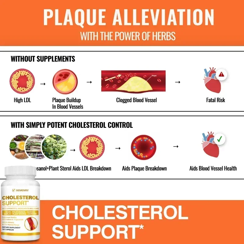 Cholesterol Supplements - Keep Blood Flowing and Promote Cardiovascular Health