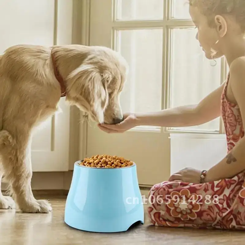 

Tilted Elevatted Cat Bowl Raised Cat Bowls Stainless Indoor Slanted Cat For Steel Bowl Feeder Pet Elevte Or Dish Water Bowl Food