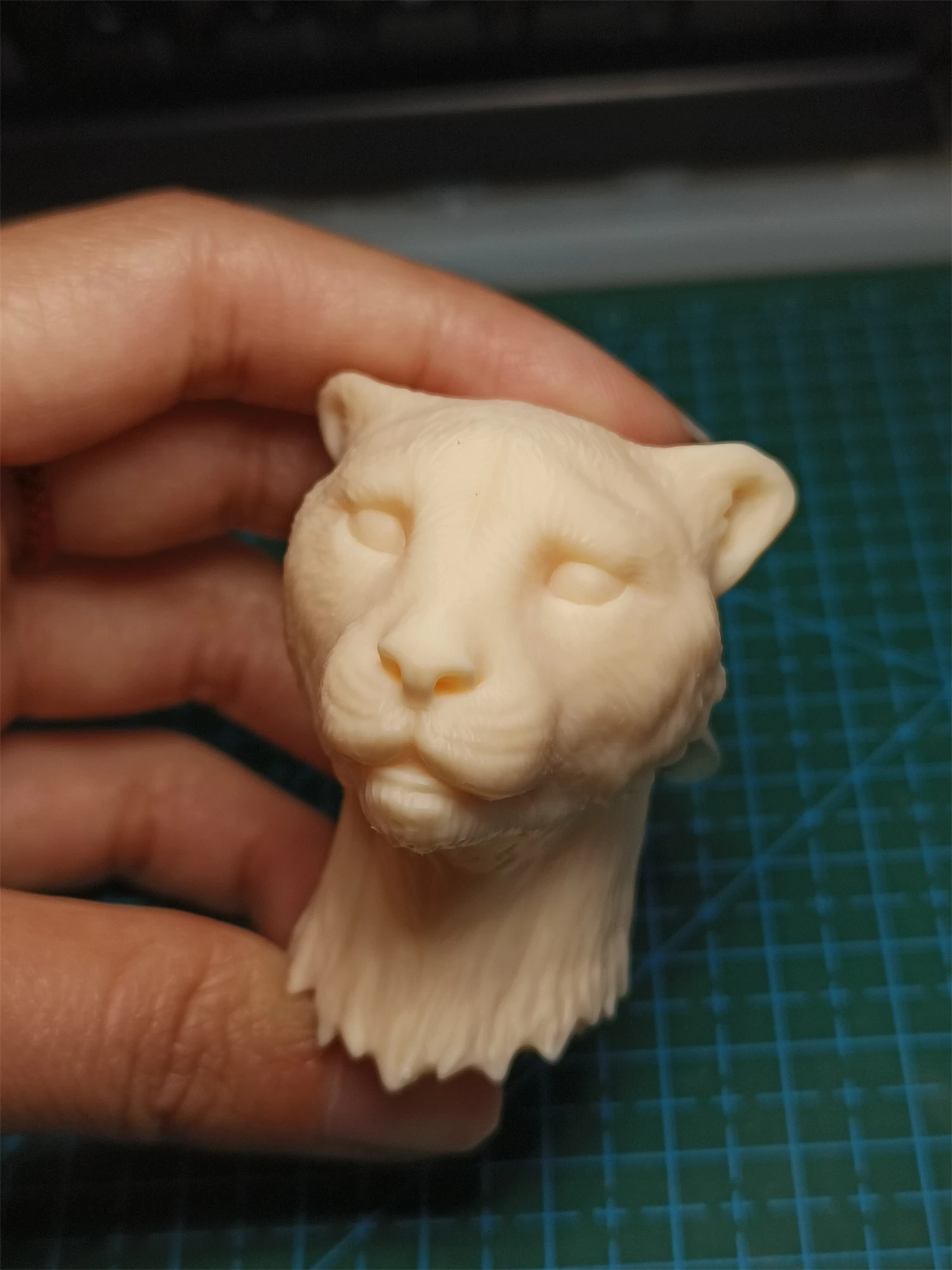 1/6 1/12 Unpainted Acinonyx Jubatus Cheetah Panther Head Carved Model Toys DIY Animal Action Figure