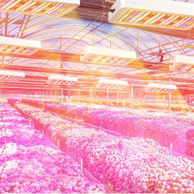 ABLL-240LED تنمو أضواء النبات الطيف الكامل الدفيئة تزايد مصباح للنباتات الداخلية الخضار المائية Phytolamp