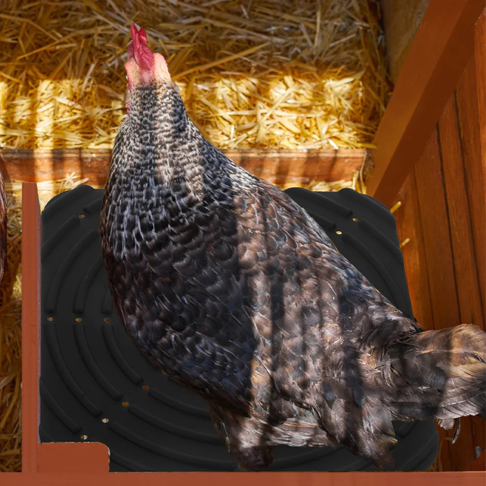 

2 Pcs Pet Cushion Chicken Nest along with Coop Mat Nesting Mats for Silicone Pad Box