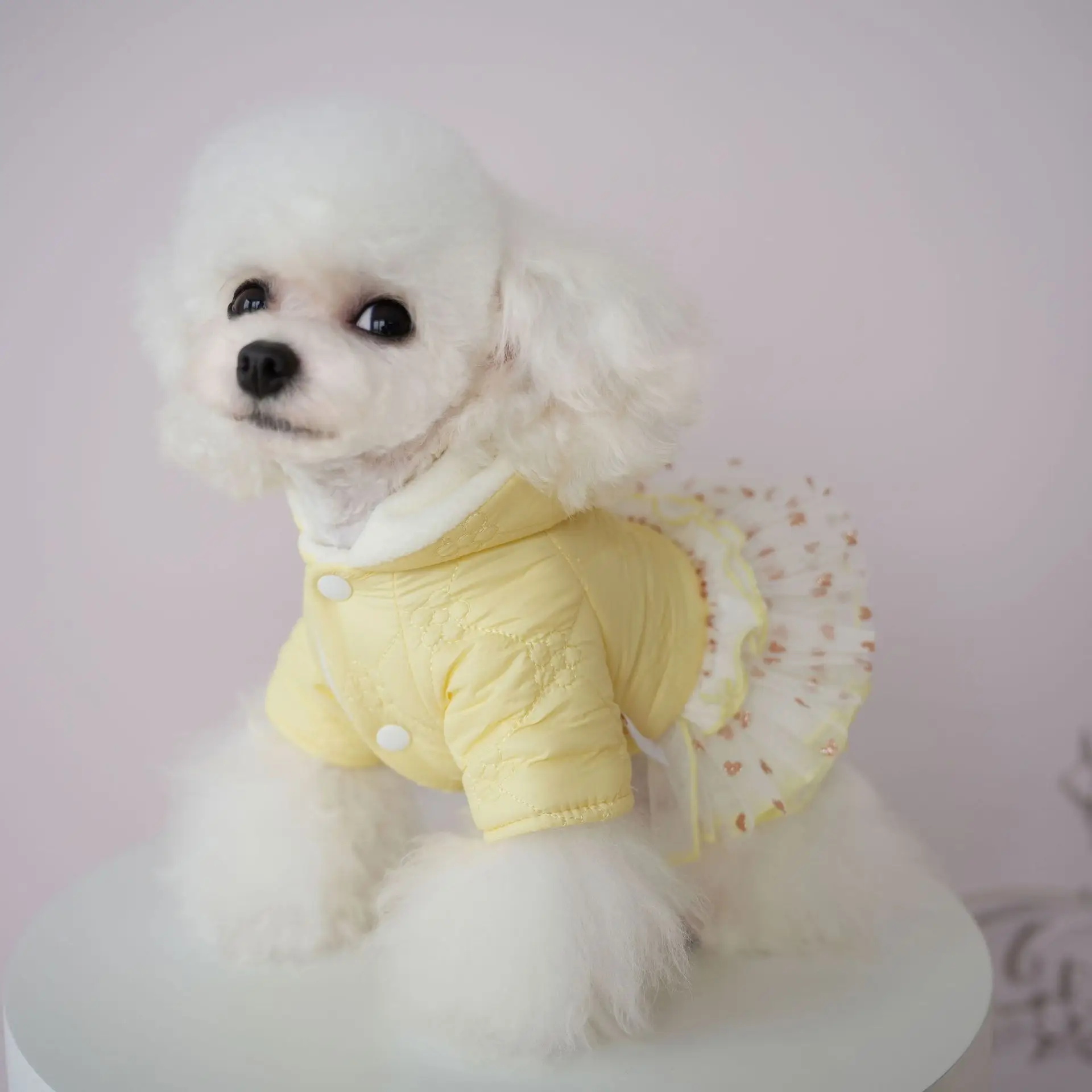 Autumn and Winter Dog Parkas Teddy Bear Cat Pet Hooded Jacket Fluffy Skirt Two Legged Skirt Puppy Clothes for Small Dogs