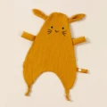 Ginger