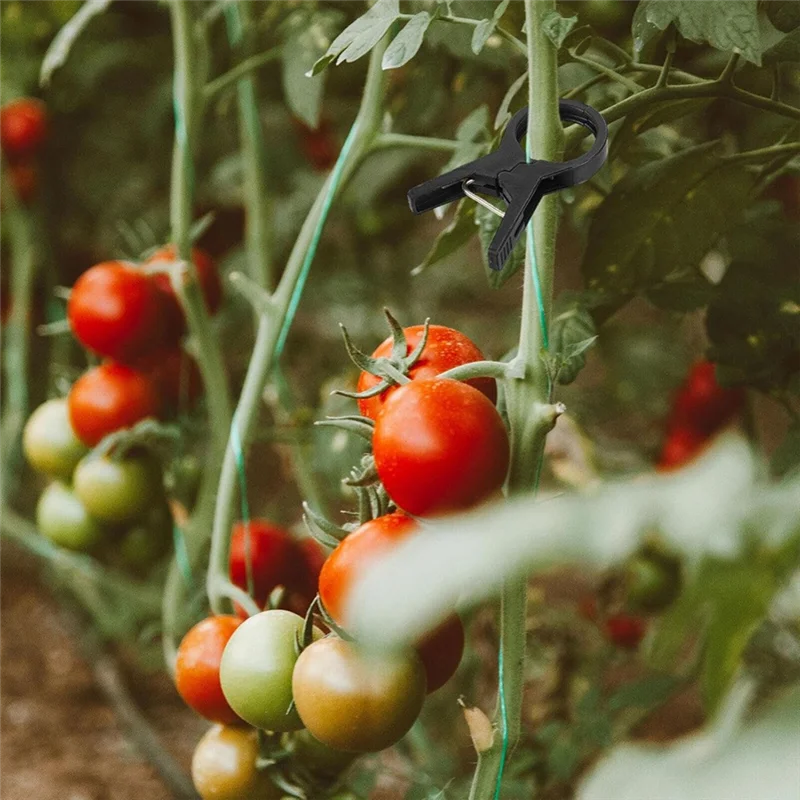 

VEHO-100 шт. зажим для прививки растений, пластиковый садовый инструмент для огурцов, баклажанов, арбуза, зажим с круглым ртом и плоским ртом, противоскользящий зажим