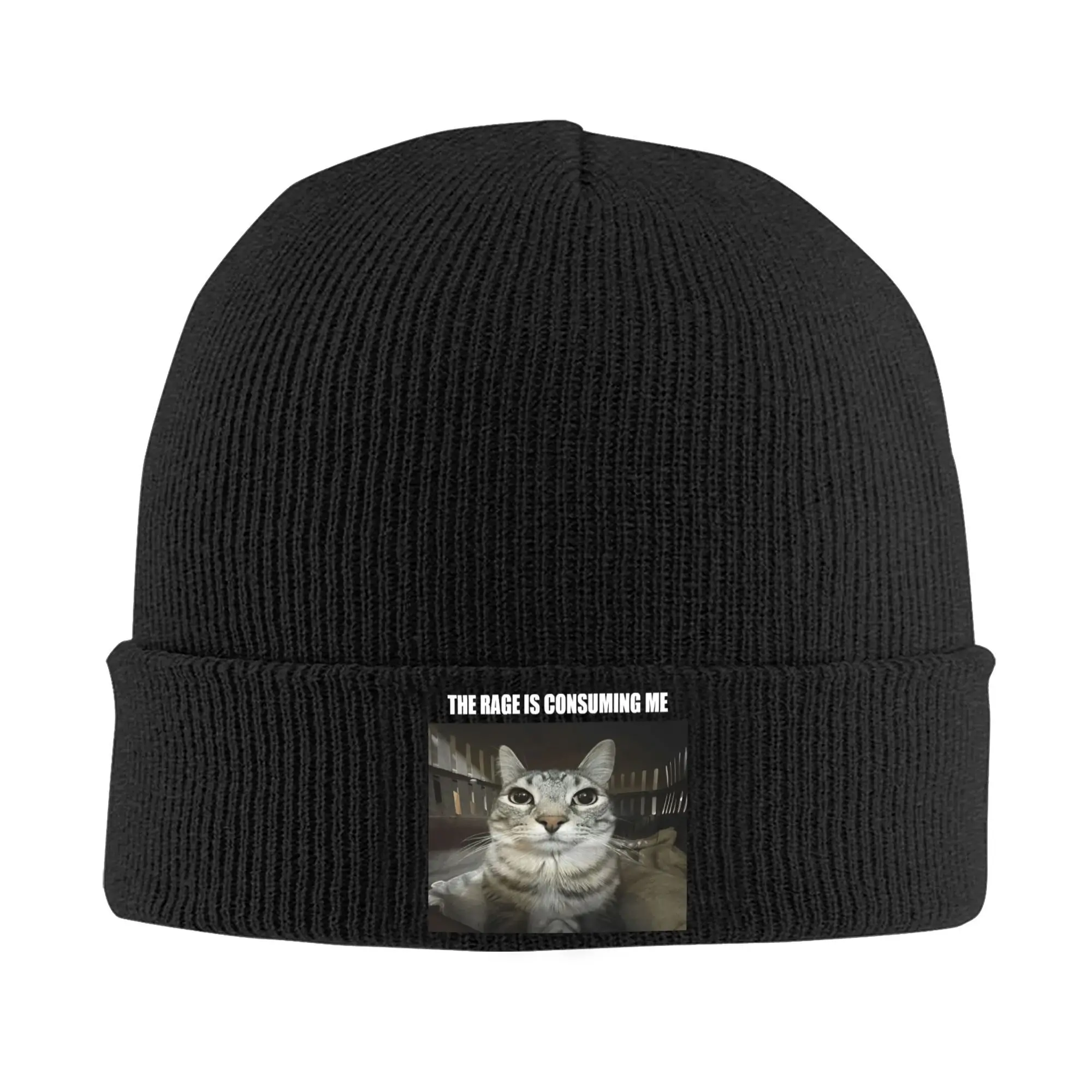 Rage Is Consuming Me Hat Autumn Winter Beanies Ski Silly Staring Cat Meme Cap Female Male Acrylic Knitted Hat