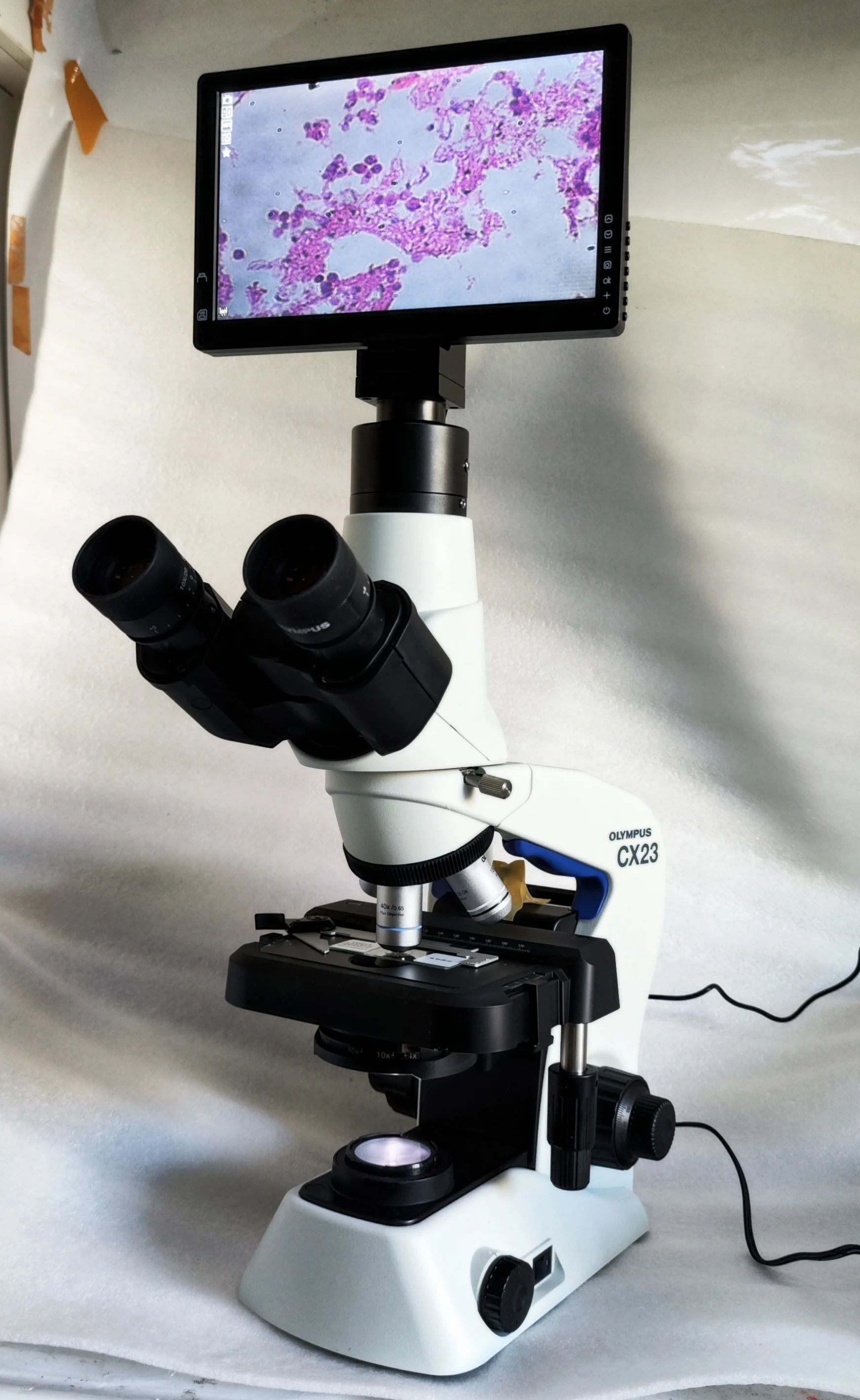 Digital Biological Binocular Microscopes Cx23 Olympus Trinocular Microscope With Screen