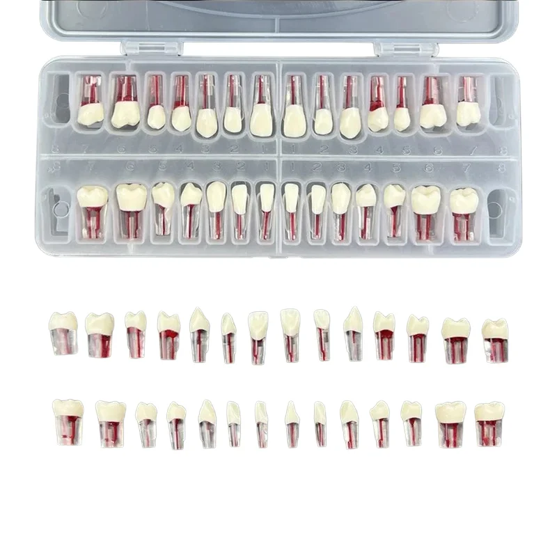 28Pcs/Set Dental En…