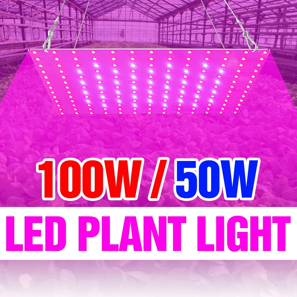 100W Led Full Spect…