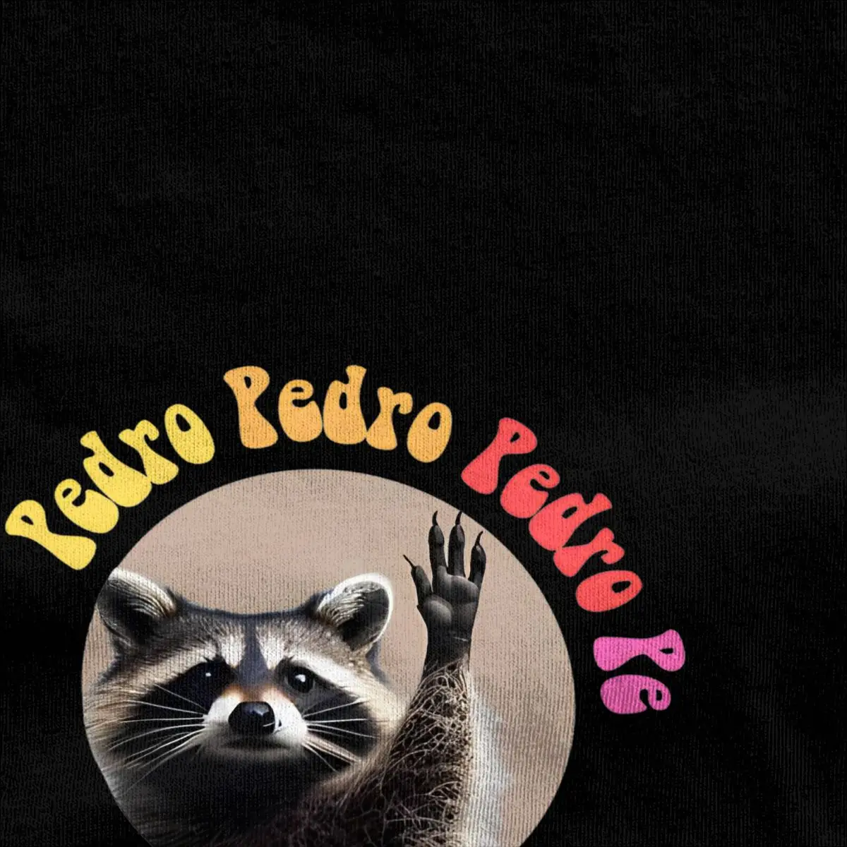 Men Women T-Shirt Pedro Pe Raccoon T-Shirts Leisure Summer Tees Y2K Funny Design 100 Cotton Tops Plus Size 6XL