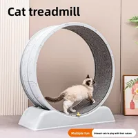 Cat Treadmill Dog Fitness Sports Silent Climbing Frame Toy Running Wheel Large Pet Supplies Игрушки Для Кошек Griffoir Chat