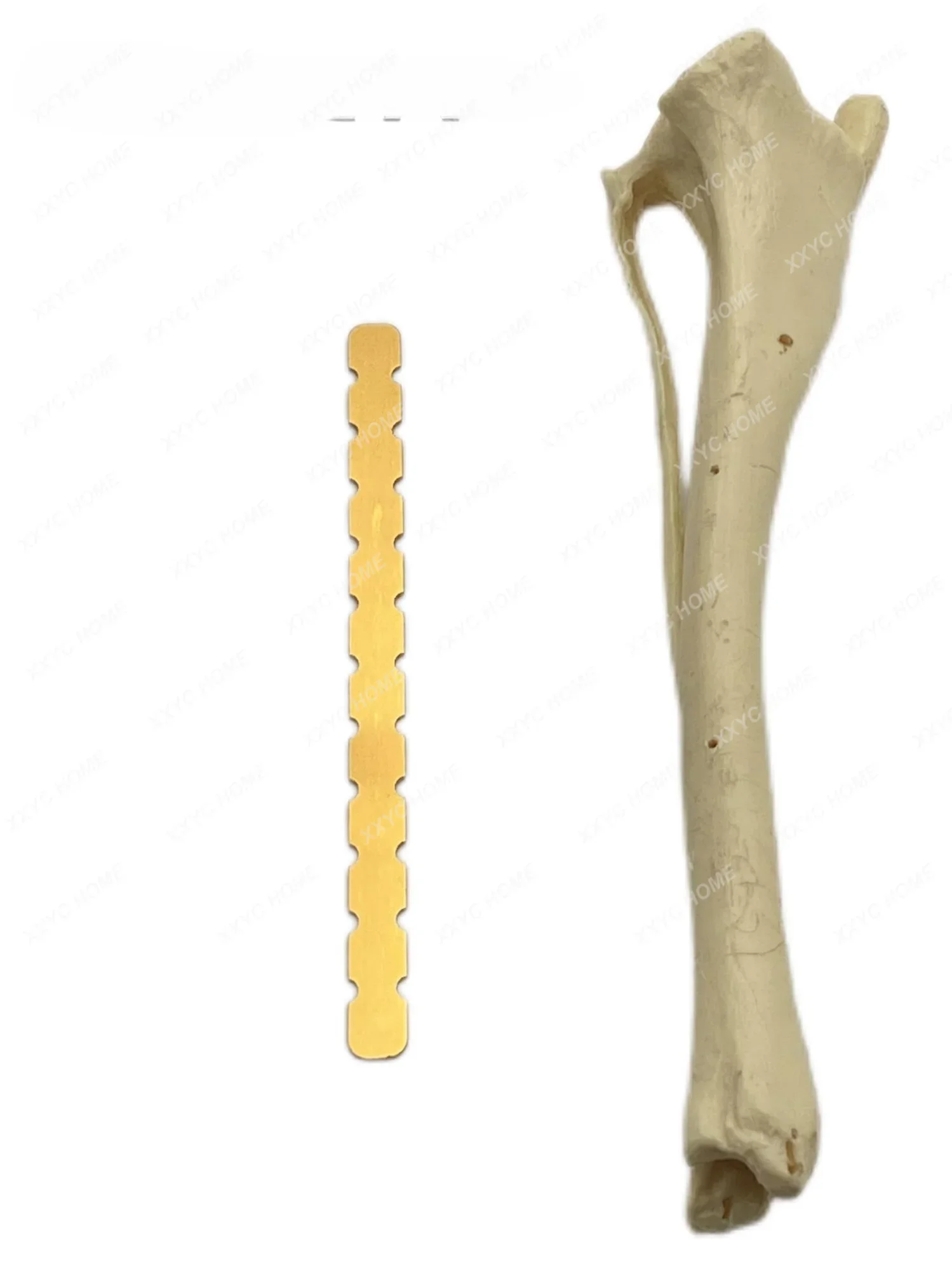 

Bone Plate Pre-Shaping Diaphragm Pet Animal Orthopedic Bone Plate Pre-Shaping Diaphragm Veterinary