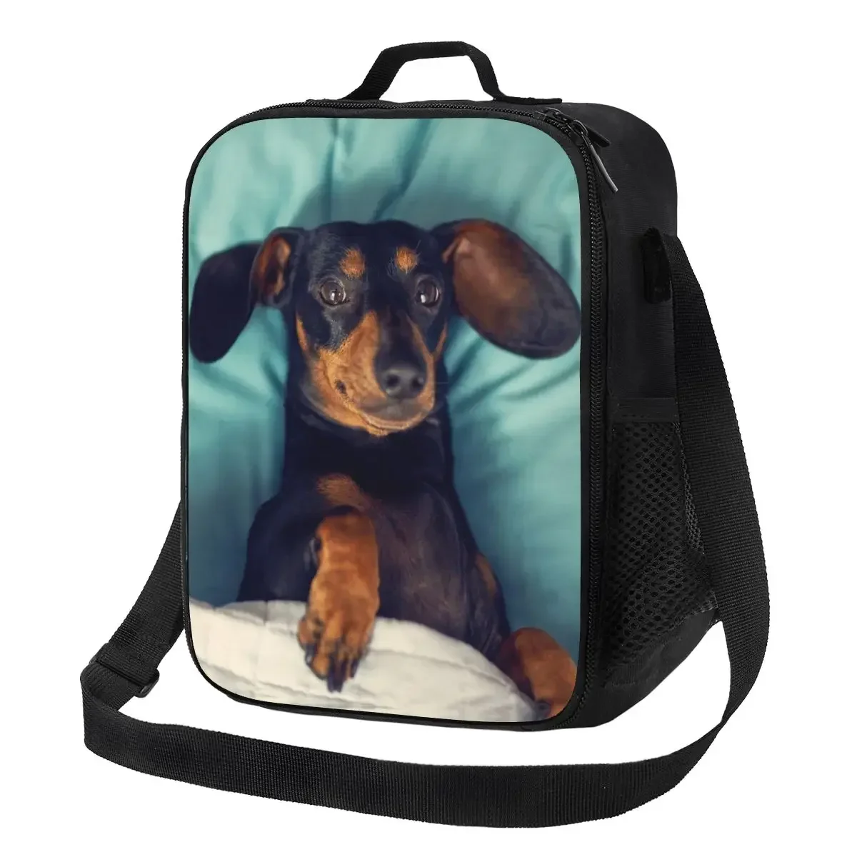 

Custom Dachshund Lunch Bag Men Women Cooler Thermal Insulated Lunch Box for Kids School Children