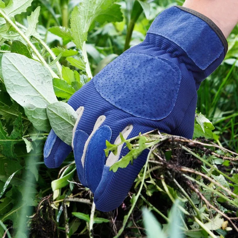 Imagem -03 - Luvas de Jardinagem com Luvas Longas de Proteção Antebraço Ferramentas de Jardinagem Poda de Rosa Par