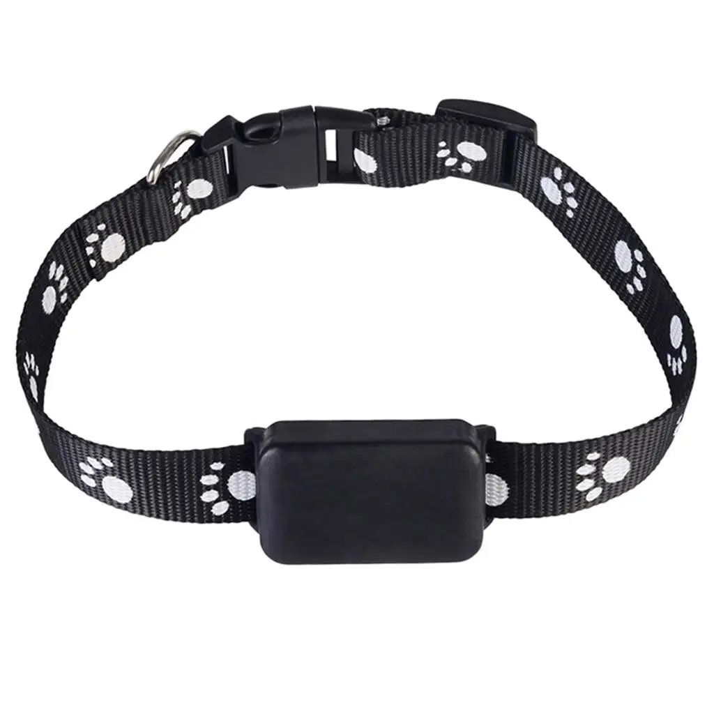 

cat and dog Cat Locator Activity Monitor, with Remote Voice Monitor