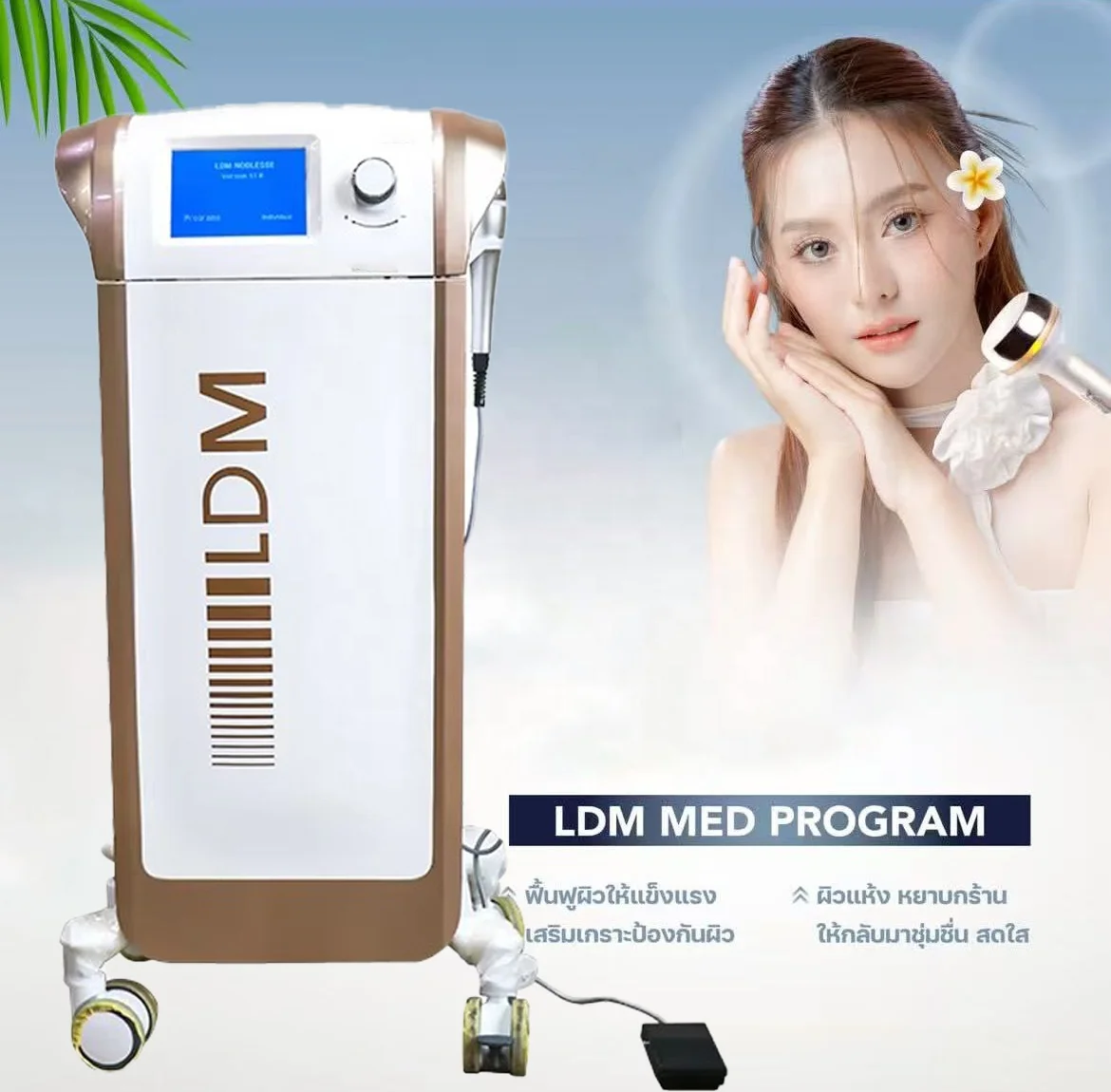 

Newest Germany Multifunction Wrinkle Remove Skin Rejuvenation Machine LDM-Tech Non-Invasive Technology Beauty Salon Use