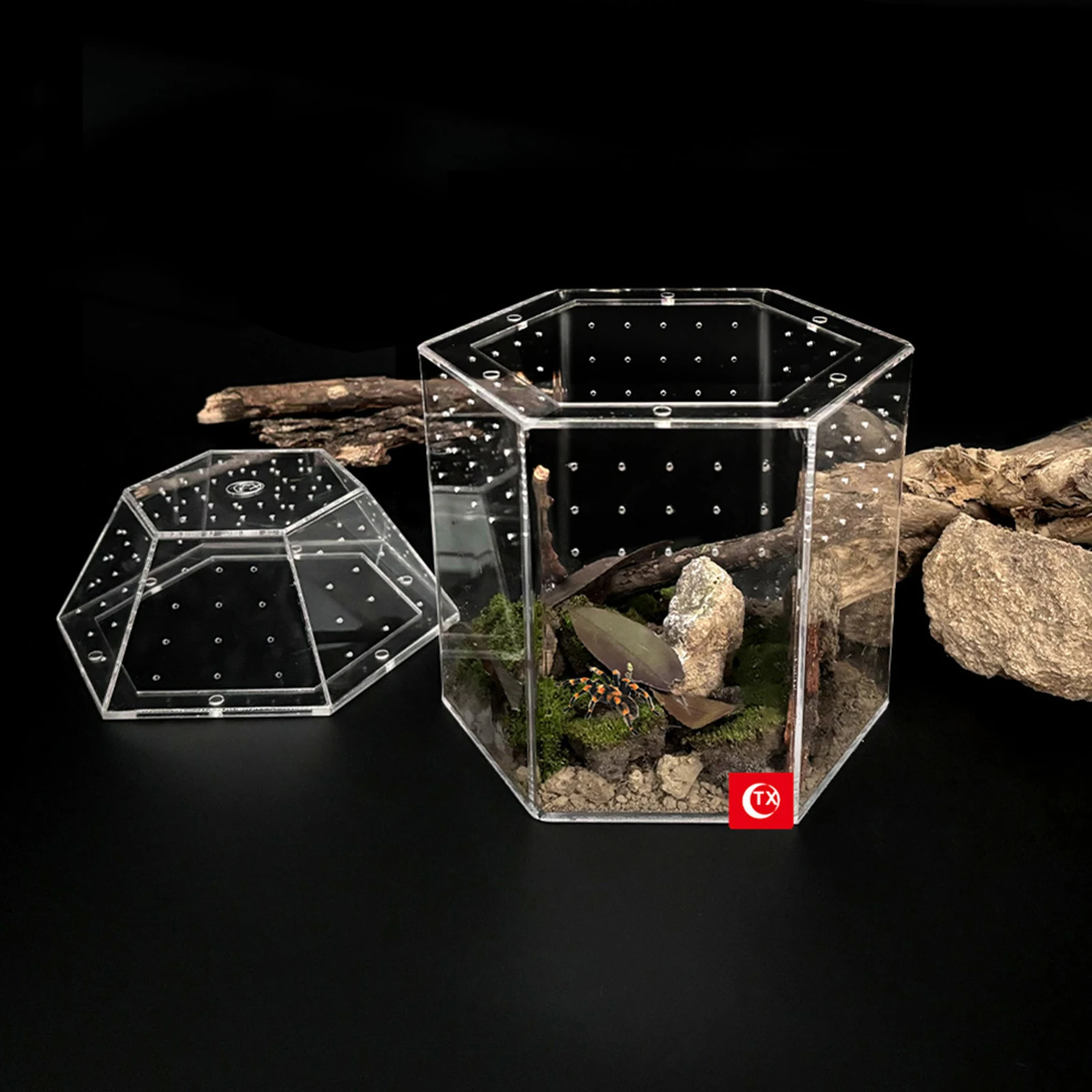 

Акриловый мини-террариум для пауков, тарантулов, улиток, ящериц и рептилий с вентиляцией со всех сторон