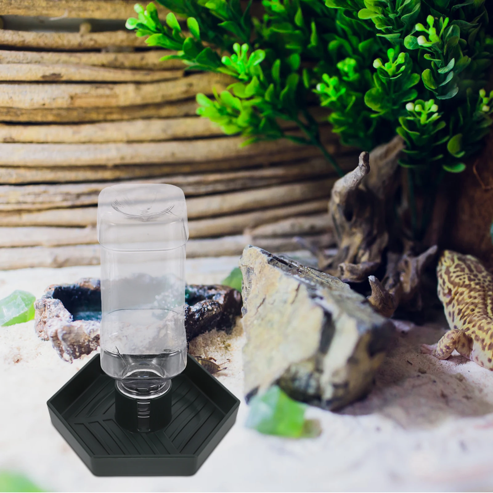 

Automatic Water Feed Dispenser For Reptiles Durable Abs Feeding Bowl For Lizards Turtles Hedgehogs Birds Floor Tortoise Waterer