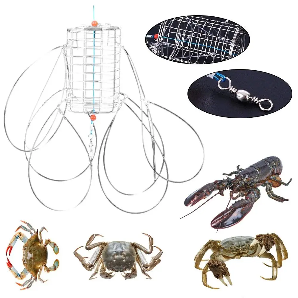 

Stainless Steel Crab Catching Tool Steel Wire Lure Trap 8 Laps Crab Fishing Cages Fish Cage Feeder Crab Trap Fishing Accessories