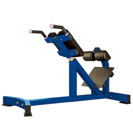 

Factory Direct Commercial Back Extension Gym Fitness Equipment Strength Training Adjustable Roman Chair