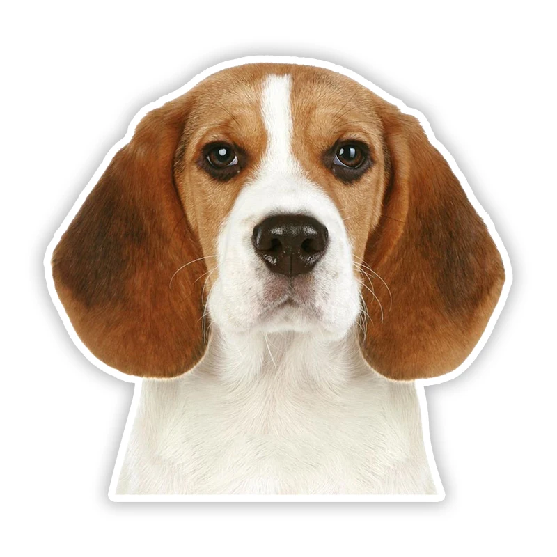 Removable Decal Beagle Dog Animal Car Sticker Waterproof Accessories on Bumper Rear Window Laptop