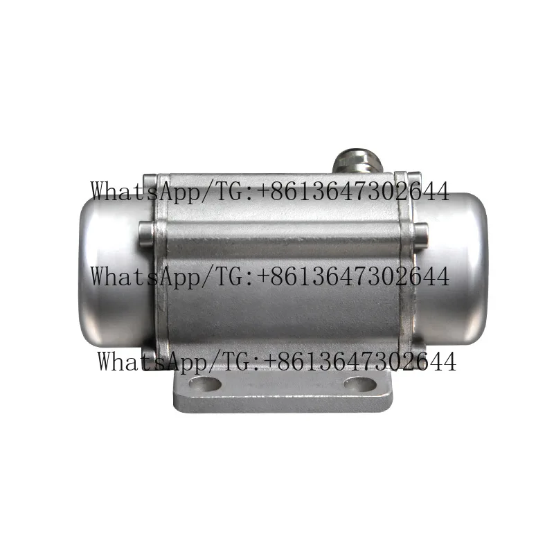 Stainless Steel Vibration Motor DC Brushless 12 Adjustable Vibration Motor Miniature High Frequency Vibrator
