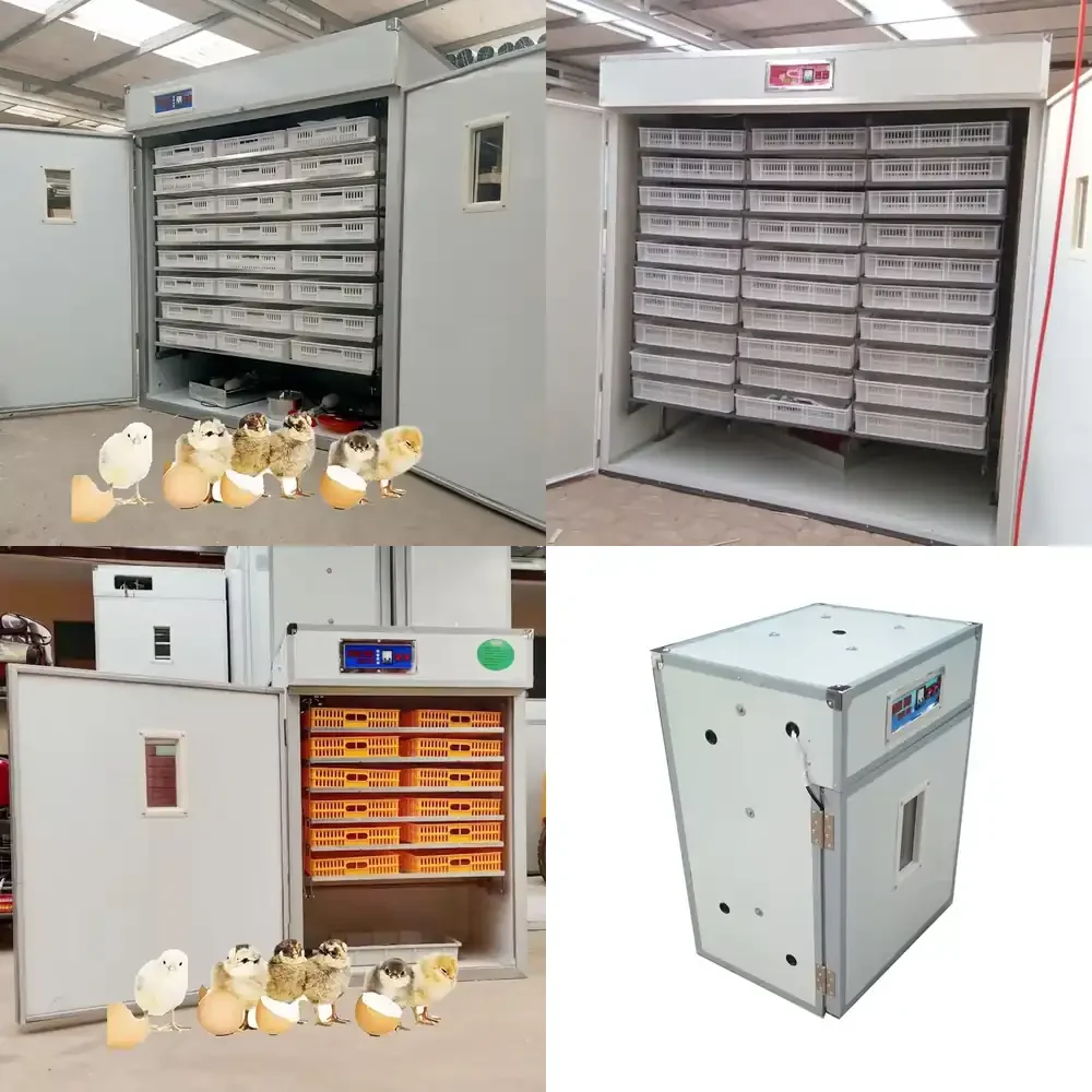 

Automatic1056-5280 Chicken Eggs Hatch Intelligent Next-generation Multi-purpose Incubation Equipment, and