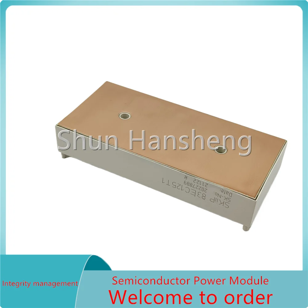 

SKIIP83EC125T1 SKIIP83HEC125T1 SKIIP83HEC125T2 SKIIP84EC125T Модуль питания IGBT