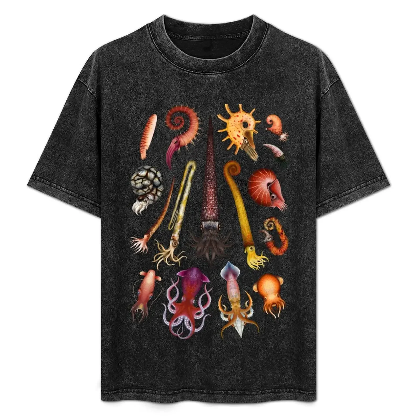 

Cephalopods Plate T-Shirt man t shirt summer man t shirts high quality luxury brand T-Shirt