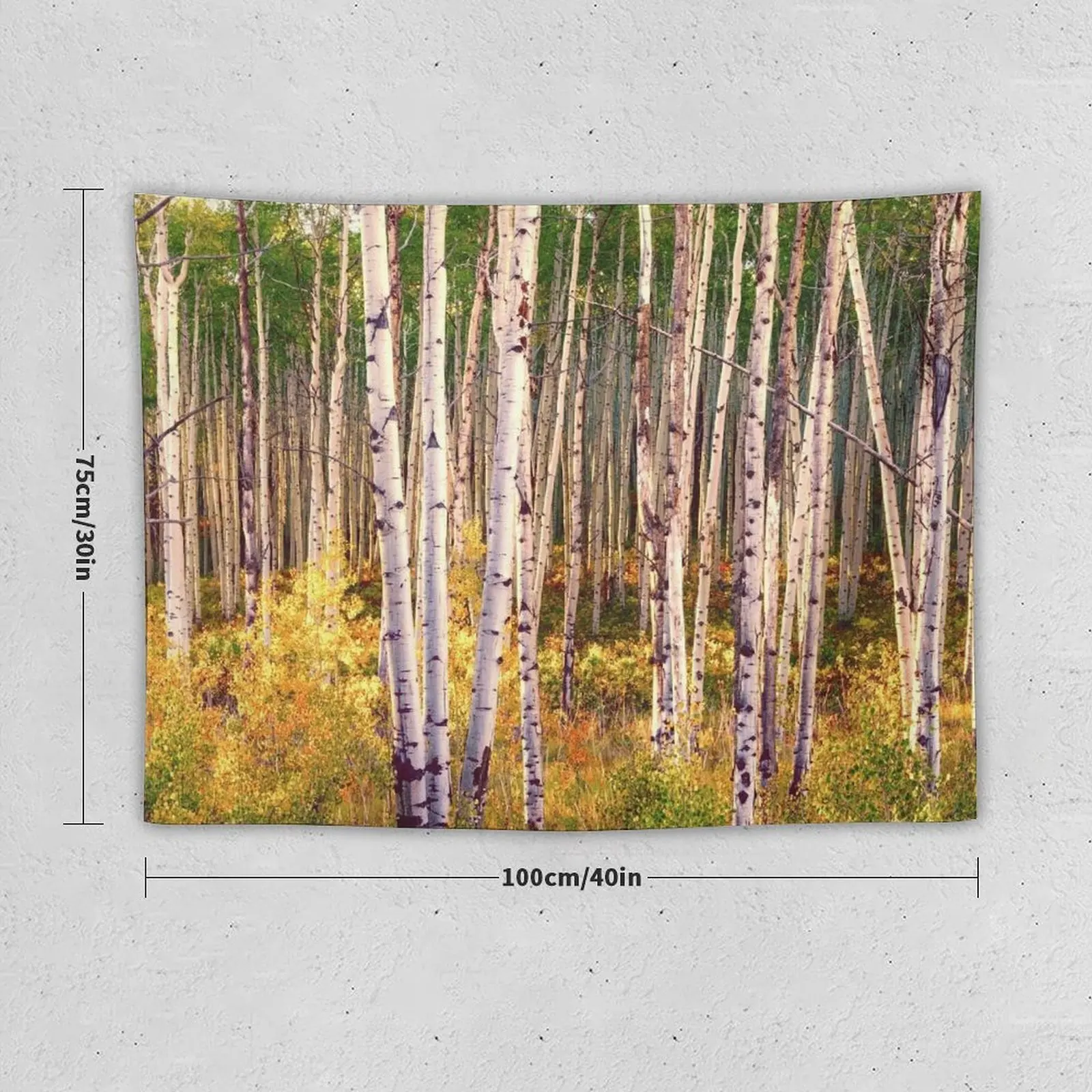 Aspen grove in autumn 1 Tapestry Room Decoration Accessories Wall Decoration Items Aesthetics For Room Cute Decor Tapestry