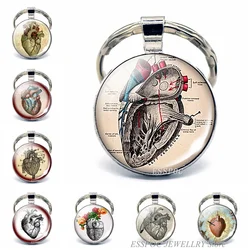 Anatomical Heart Key Chain Key Chain Glass Metal Keychain Keyring Heartbeat Sign Pendant Biologist Doctors Gifts