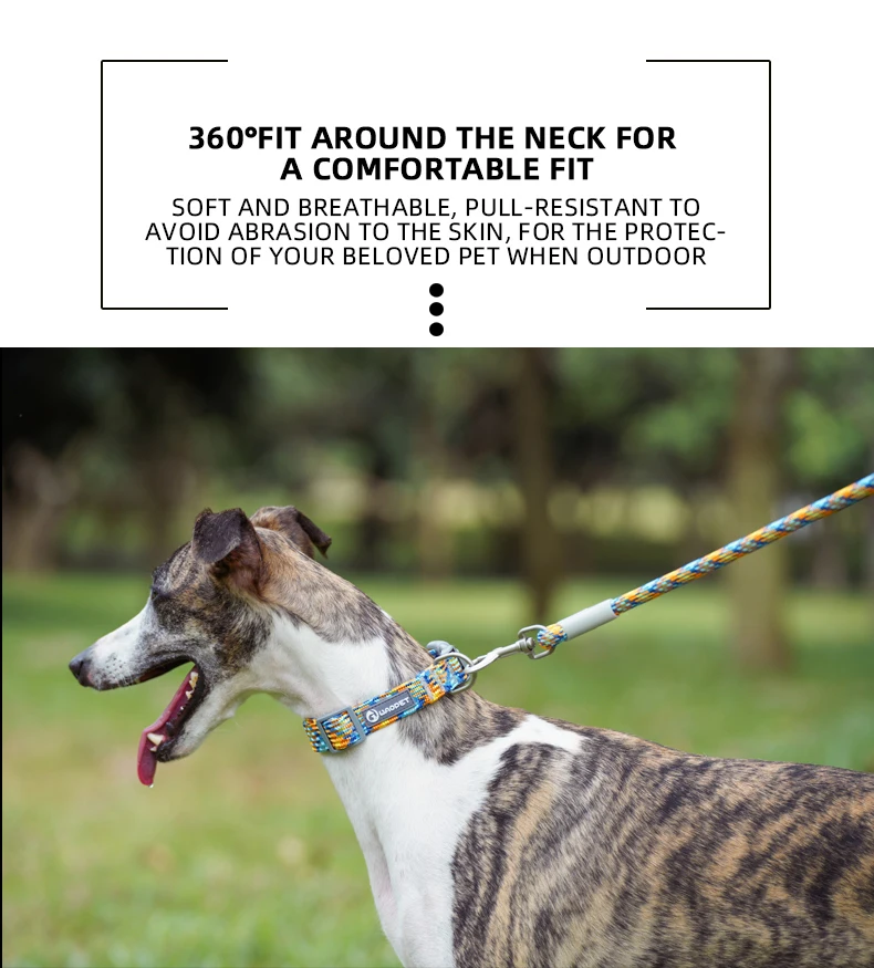 Haustier liefert Hunde halsband für Welpen mittelgroße Hunde niedliche Katze langlebiges Leben Hunde leine Halsband Deutscher Schäferhund Walking Training neu – Detail 7