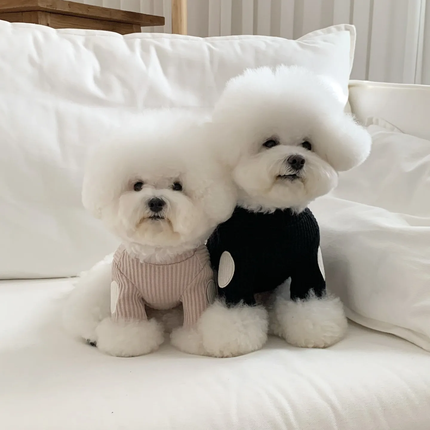 Conjunto de camisa de dos piezas de Pomerania, ropa cálida de invierno para perros de compañía, chaleco bordado de retazos Yorkshire Terrier