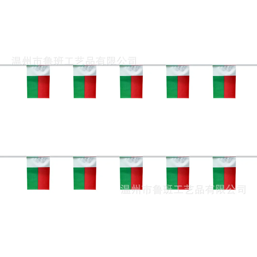 SKY FLAG Madagascar bunting flags 14x21cm 20pcs/lot Madagascar String flags Pennant Banner Festival Party Holiday for decoration