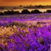 

Многофункциональный сварочный аппарат Stahlwerk CTM250pro 7-в-1 для MIG/TIG/MMA/плазменной резки алюминия