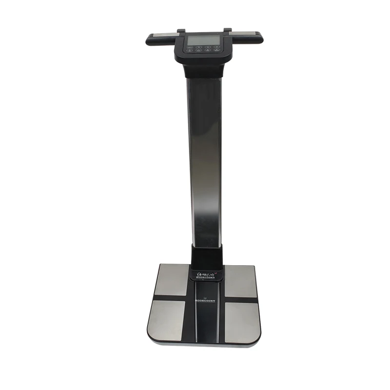 Factory Price Professional Body Composition Analysis