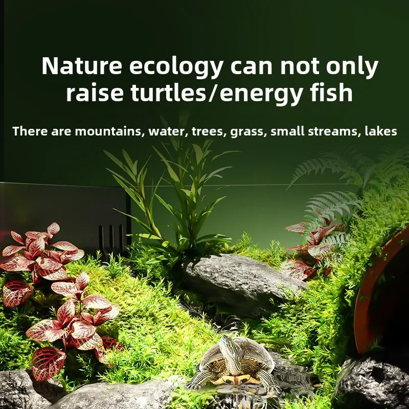 Ecological turtle tank landscaping, a full set of fish and turtle breeding, mixed lazy turtle breeding