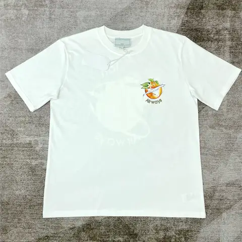 2025 여름 스타일 Chest Airways 프린트 티셔츠 남성 여성 힙합 streetwear 오버 사이즈 o 넥 코튼 티