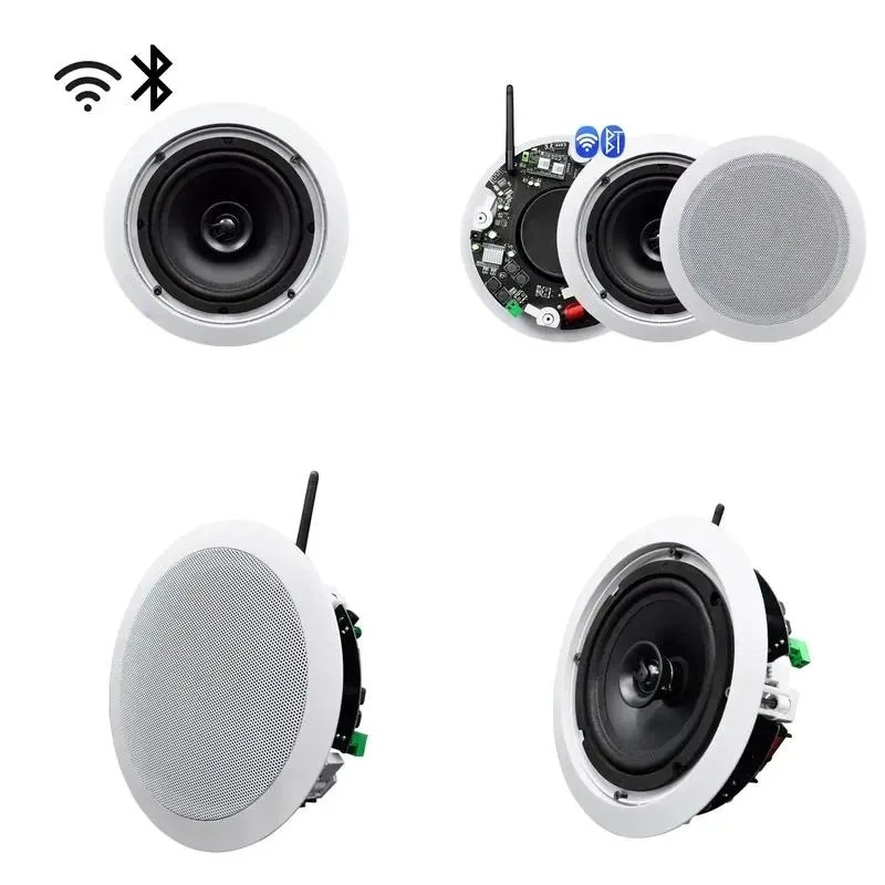 Single Main Speaker Digital Class D WiFi Wall Mounted Smart Audio Music Player Ceiling Speaker
