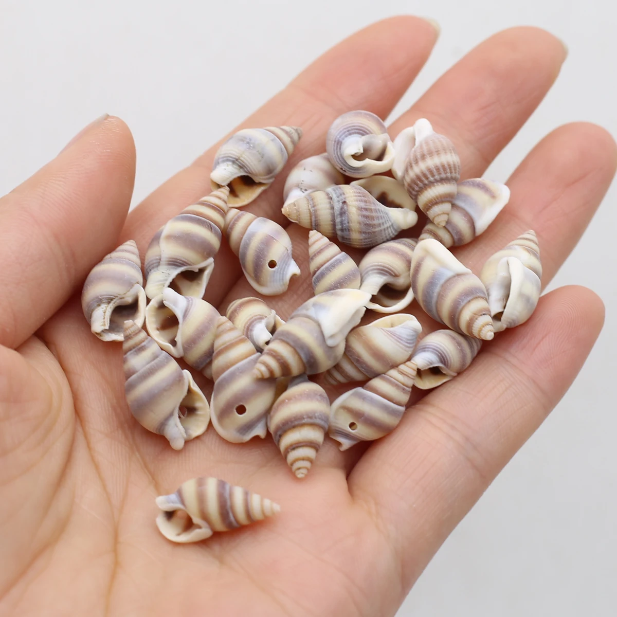 180Pcs Natural Shell Conch Trinket Fish Tank Aquarium Ornaments Handmade Beads For Jewelry Making Crafts Bracelet Accessory