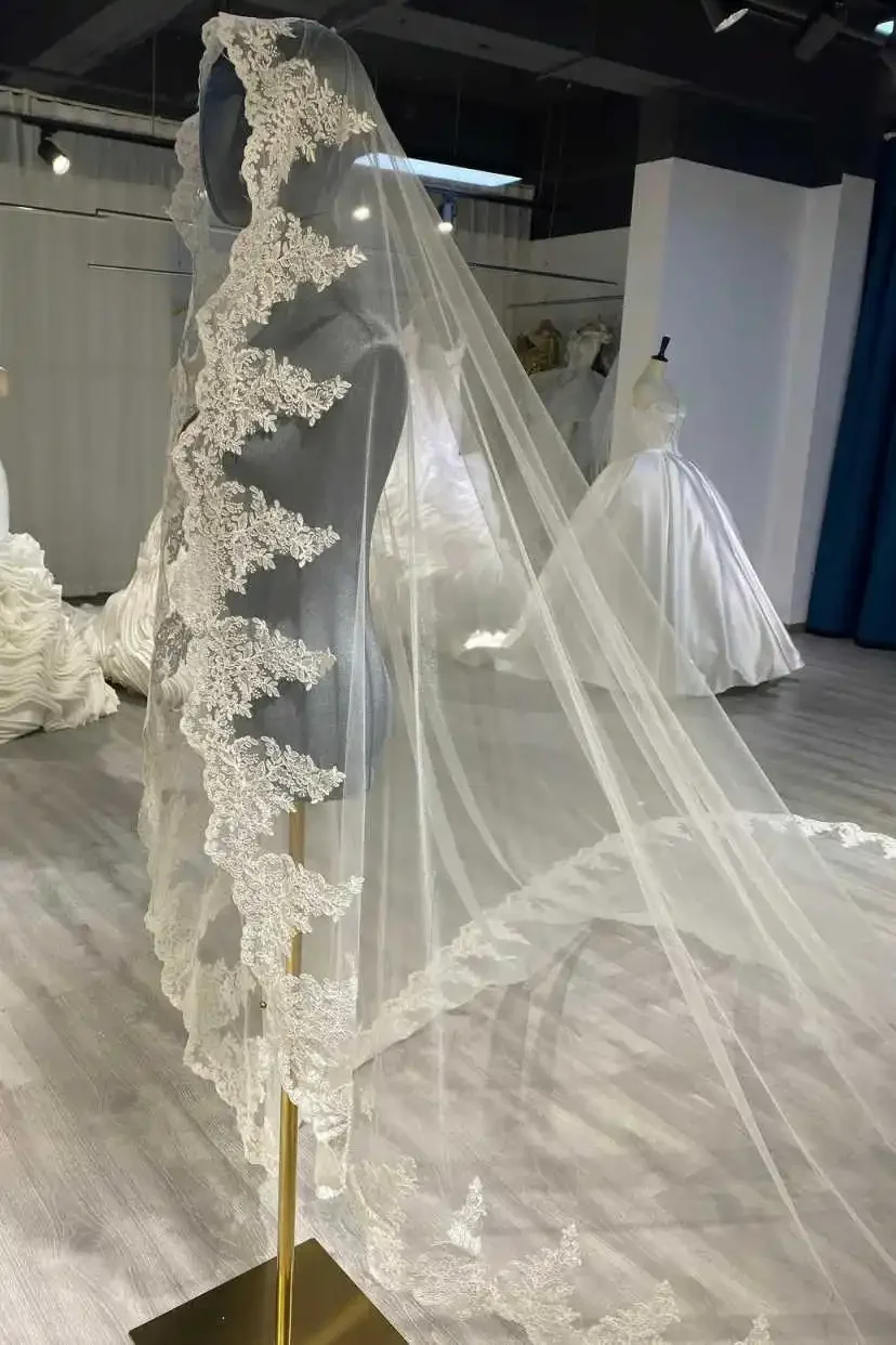 Appliques Lace Wedding Veil Cathedral Length One Layer Bridal Veils Applique Edge Wedding Dress Accessories Customized