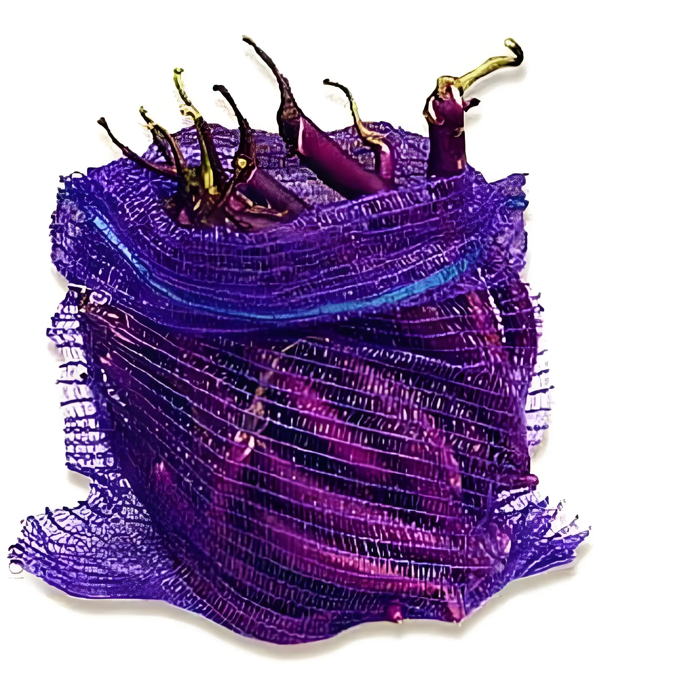 

2025Factory Direct Leno Mesh Bag for Fruit and Vegetable Packaging High Quality Printing Products Eggplant and Potatoes Bag