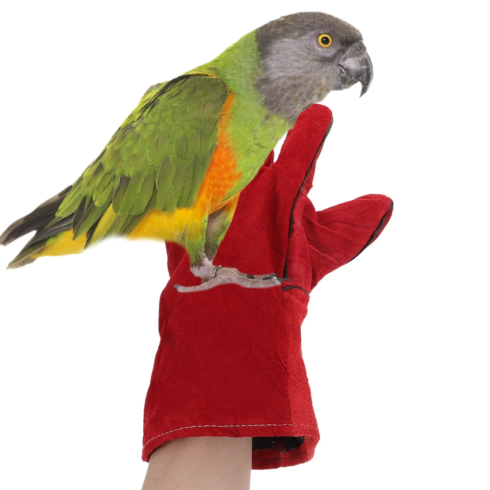 1Pair Anti-Bite Gloves Protective Gloves Parrot Training Pet Feeding Scratch Proof Bite Resistant Pet Feeding Supplies