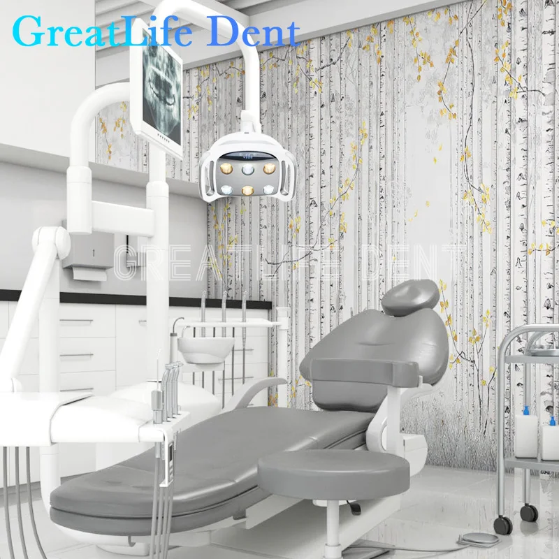 Great life-وحدة دنت كرسي الأسنان مع 6 حبات ضوء ، ضوء LED الجراحية التشغيل ، تصميم جديد ، عملية بدون ظلال ، 9 واط ، 9 المصابيح ، 30000lux